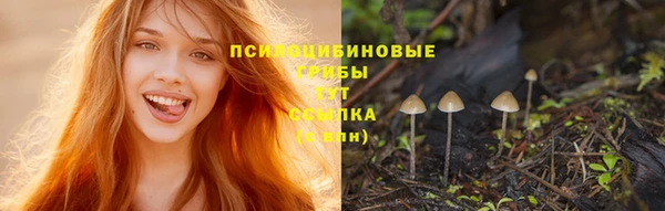 трава Бронницы